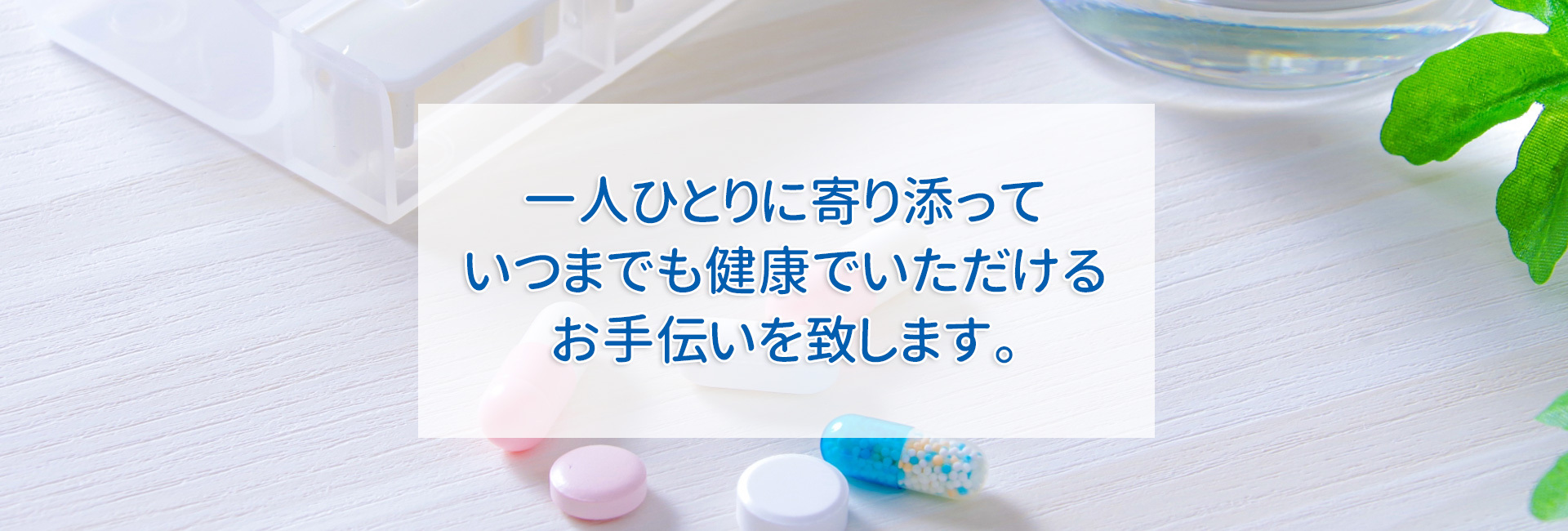 あおい薬局,めぐみ薬局,上溝・淵野辺本町・アリオ橋本