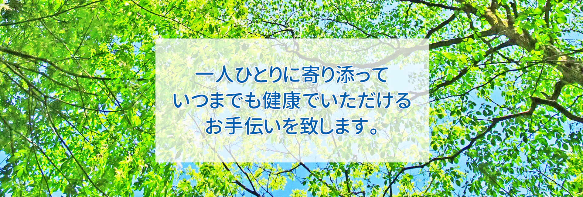 あおい薬局,めぐみ薬局,上溝・淵野辺本町・アリオ橋本